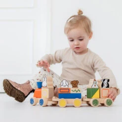 Bambolino Toys Nijntje Houten Blokkentrein 17065 9 Bambolino Toys Nijntje Houten Blokkentrein 17065 -babyproducten bambolino toys nijntje houten blokkentrein 17065 lifestyle 1