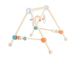 Bieco Beer Houten Babygym 23000054 13 Bieco Beer Houten Babygym 23000054 -babyproducten bieco beer houten babygym 8 1920x1920