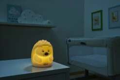 Voorkant -babyproducten chicco sweet lights egel nachtlampje 10576 1 1